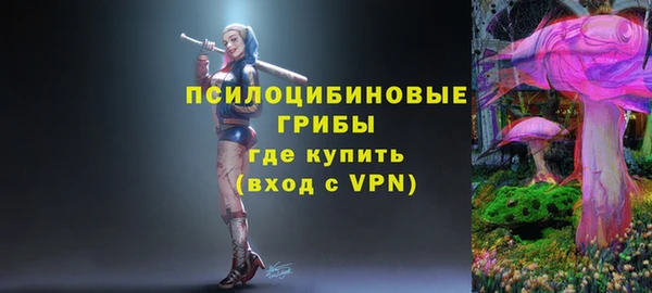 тгк Арсеньев