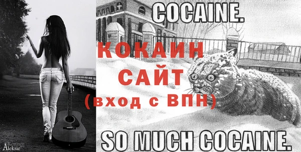 тгк Арсеньев
