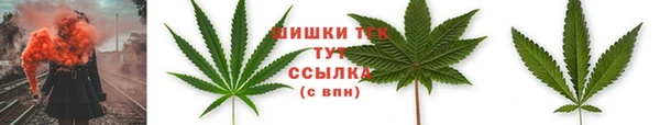 тгк Арсеньев