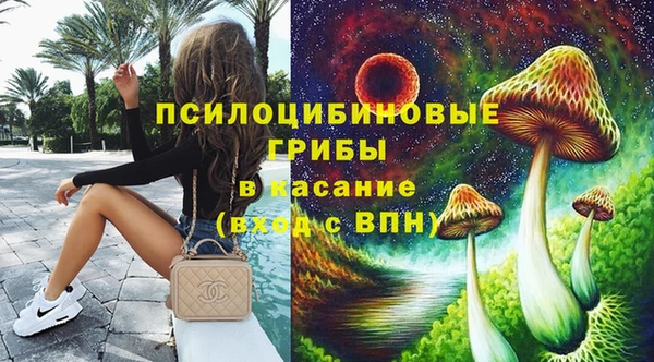 тгк Арсеньев